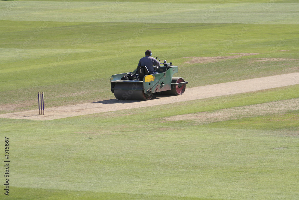 Cricket Treatment Plan – SportsMowd