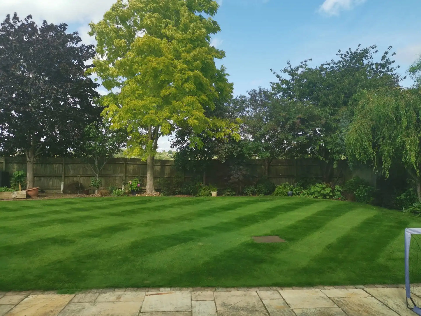 Greensward