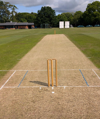 PM36 Wicket