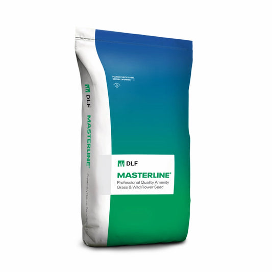 PM13 Fine Fescue